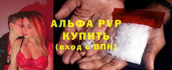 2c-b Бородино
