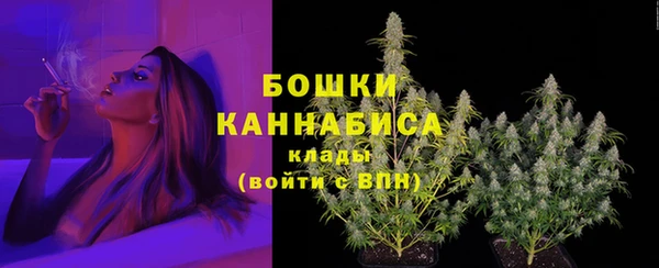 2c-b Бородино