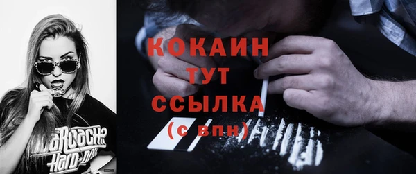 2c-b Бородино
