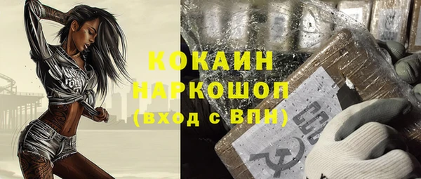 2c-b Бородино