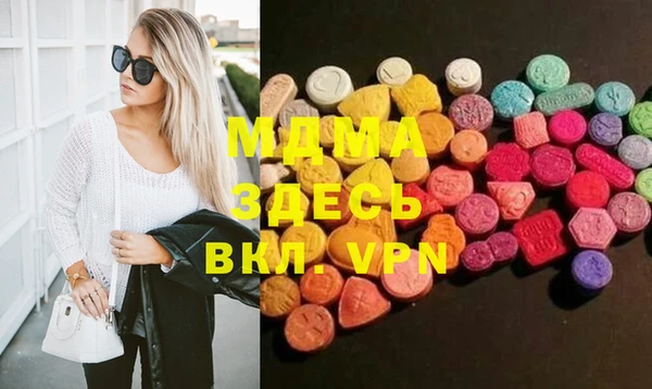 индика Ростов