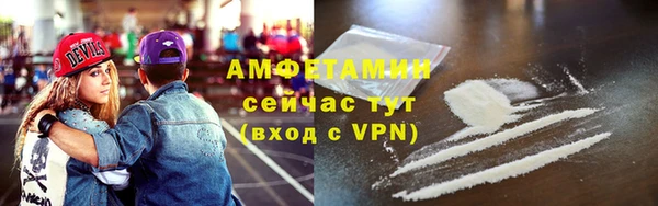 2c-b Бородино