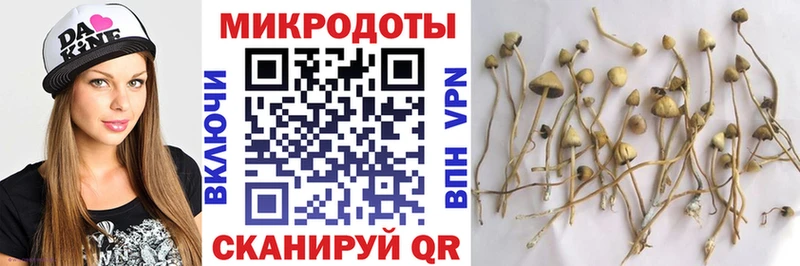 Псилоцибиновые грибы Magic Shrooms  купить наркотик  Северск 