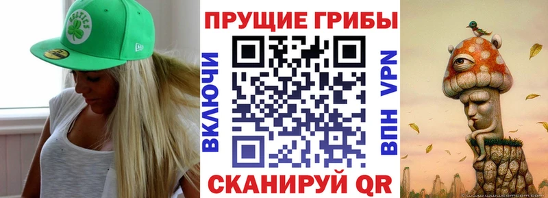 Псилоцибиновые грибы прущие грибы Северск